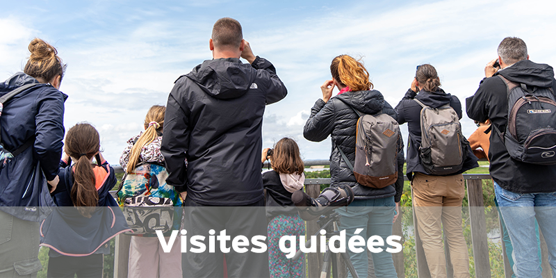 Visites guidées